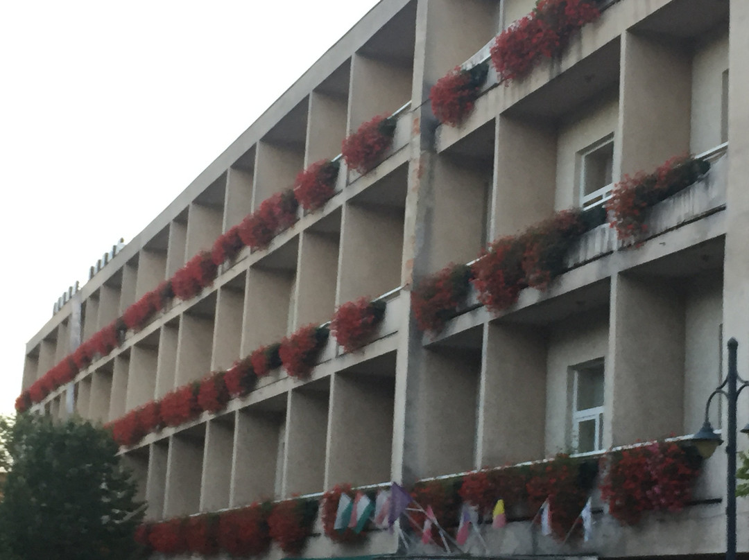 Hotel-Restaurant Kapos主图