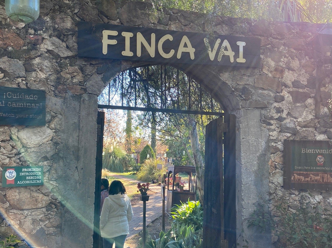 Finca VAI景点图片
