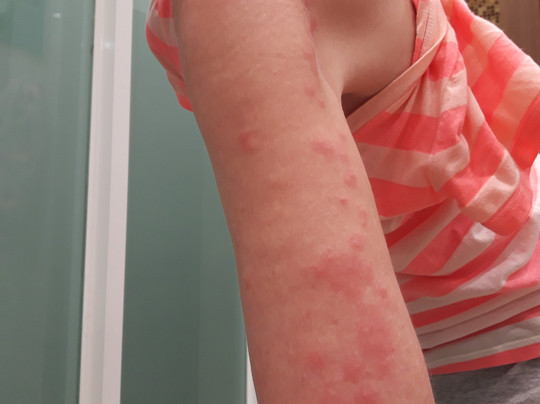 Adina Drive In Motel主图