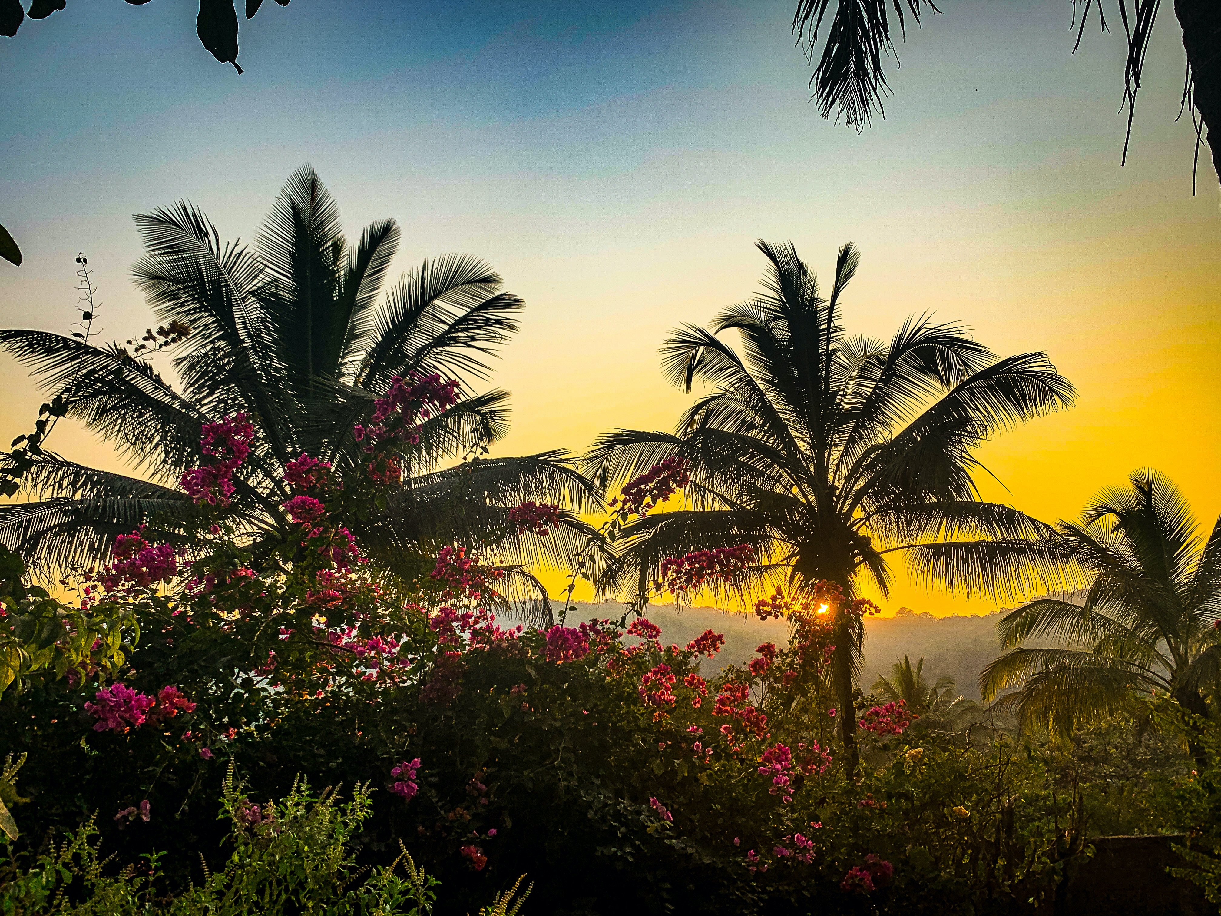 Serene Ravine Homestay-浴室