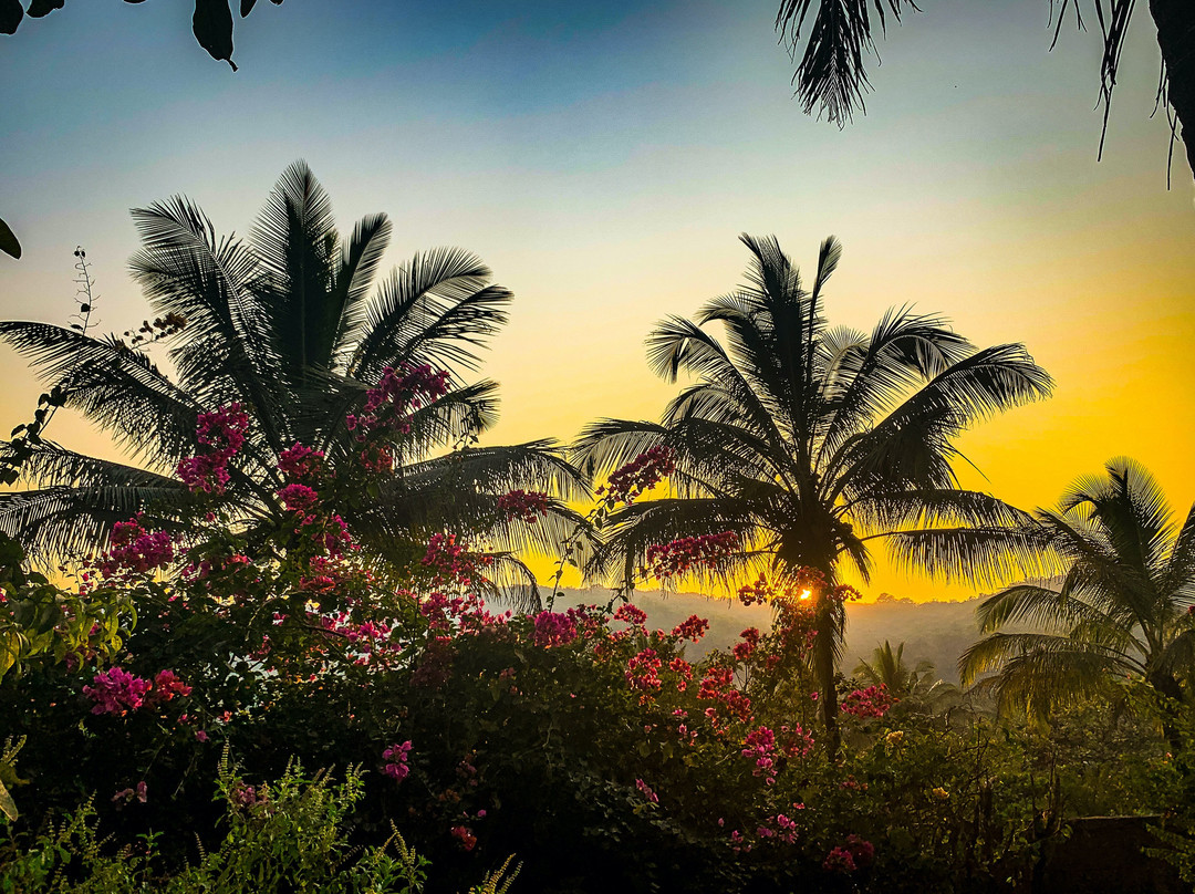 Serene Ravine Homestay主图