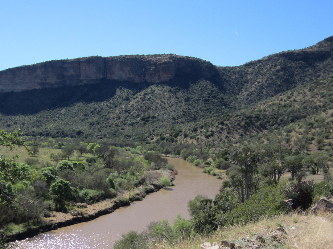 Cathcart旅游攻略图片
