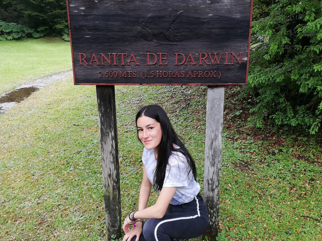 Termas El Amarillo-Chaiten必去景点