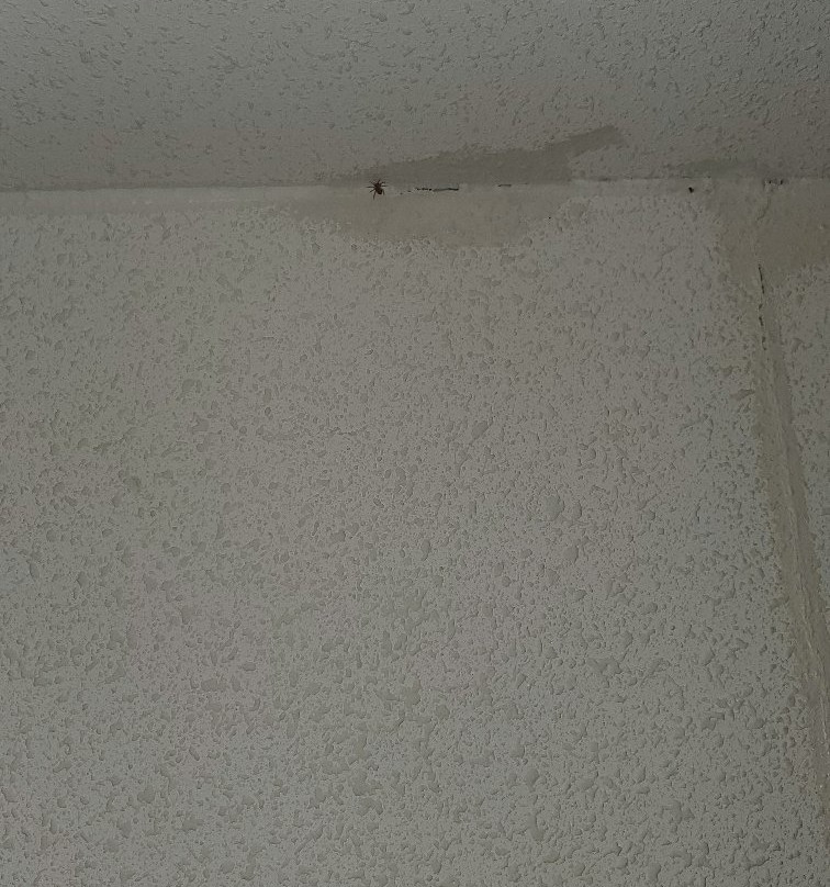 Sleep Inn Richmond North主图