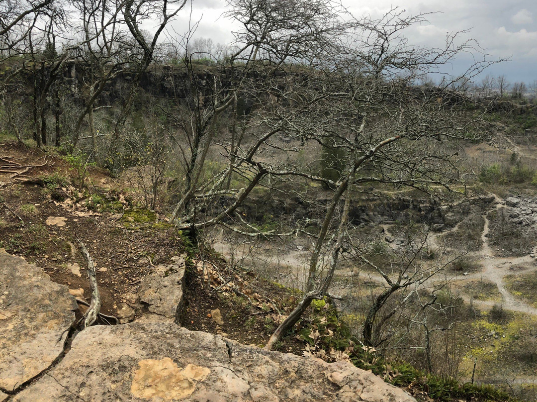 Ruffner Mountain-伯明翰必去景点