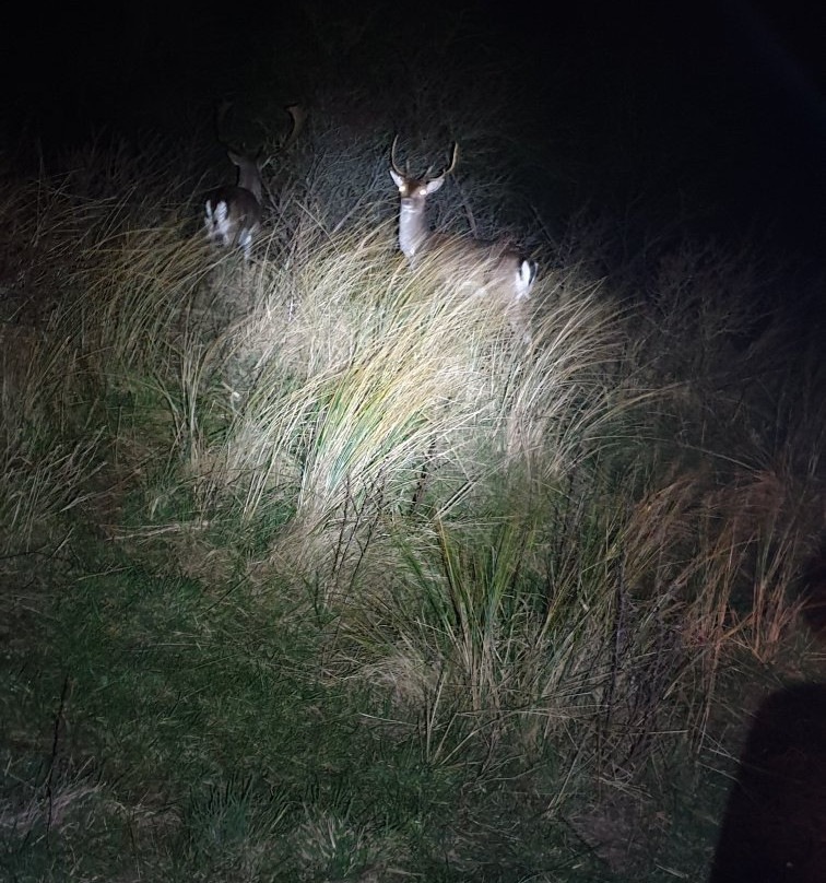 Strand IJmuiderslag-Ijmuiden必去景点