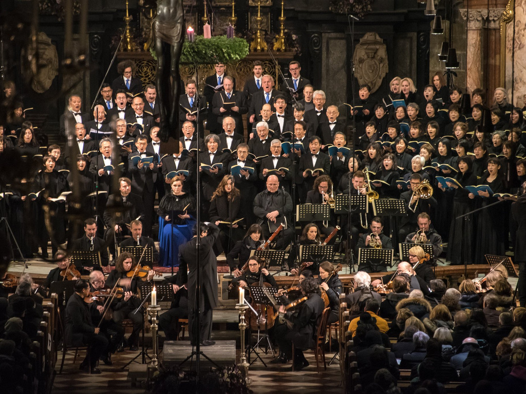 Concerts at St. Stephen's Cathedral-维也纳必去景点