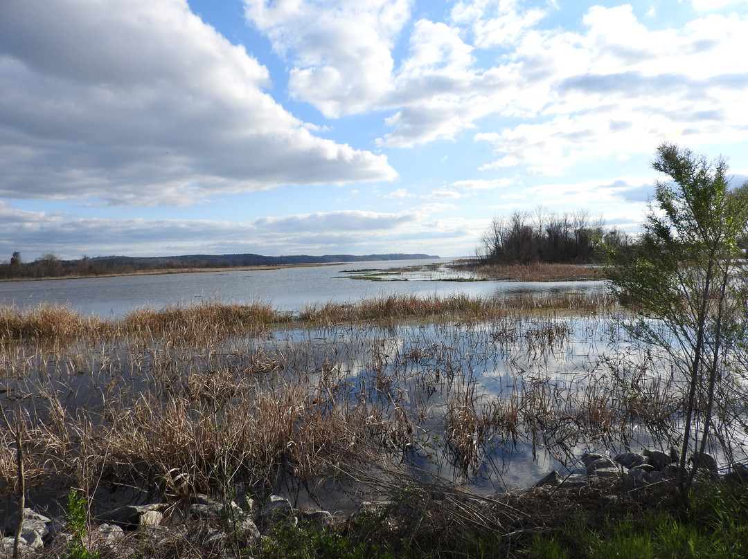 Eufaula National Wildlife Refuge景点图片