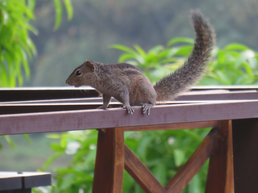 Thotupola Residence主图