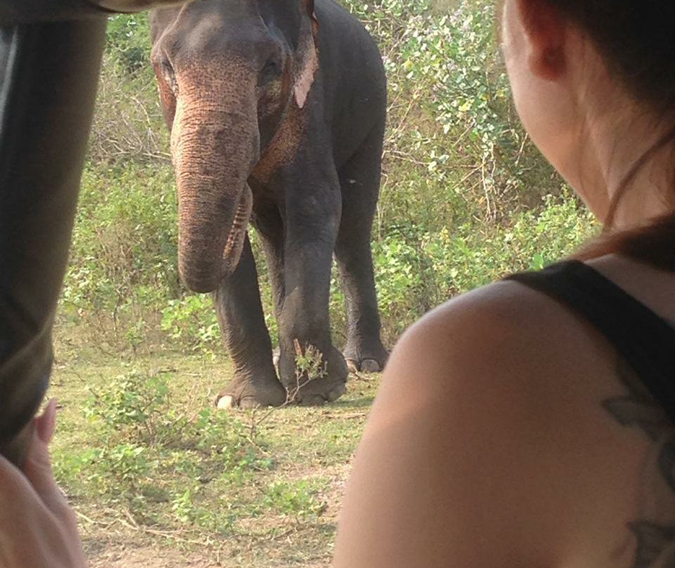 Lakpura LLC-Minneriya必去景点