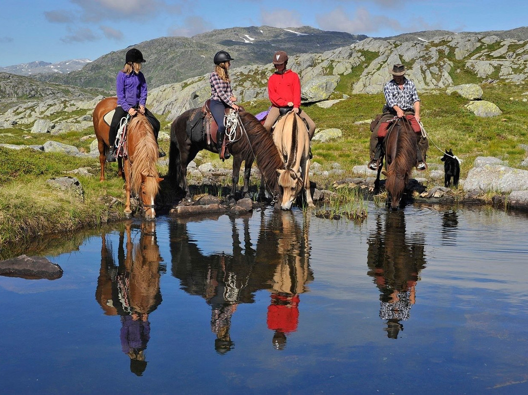Smiedal Aktivitetsferie - Day Tours-Akra必去景点