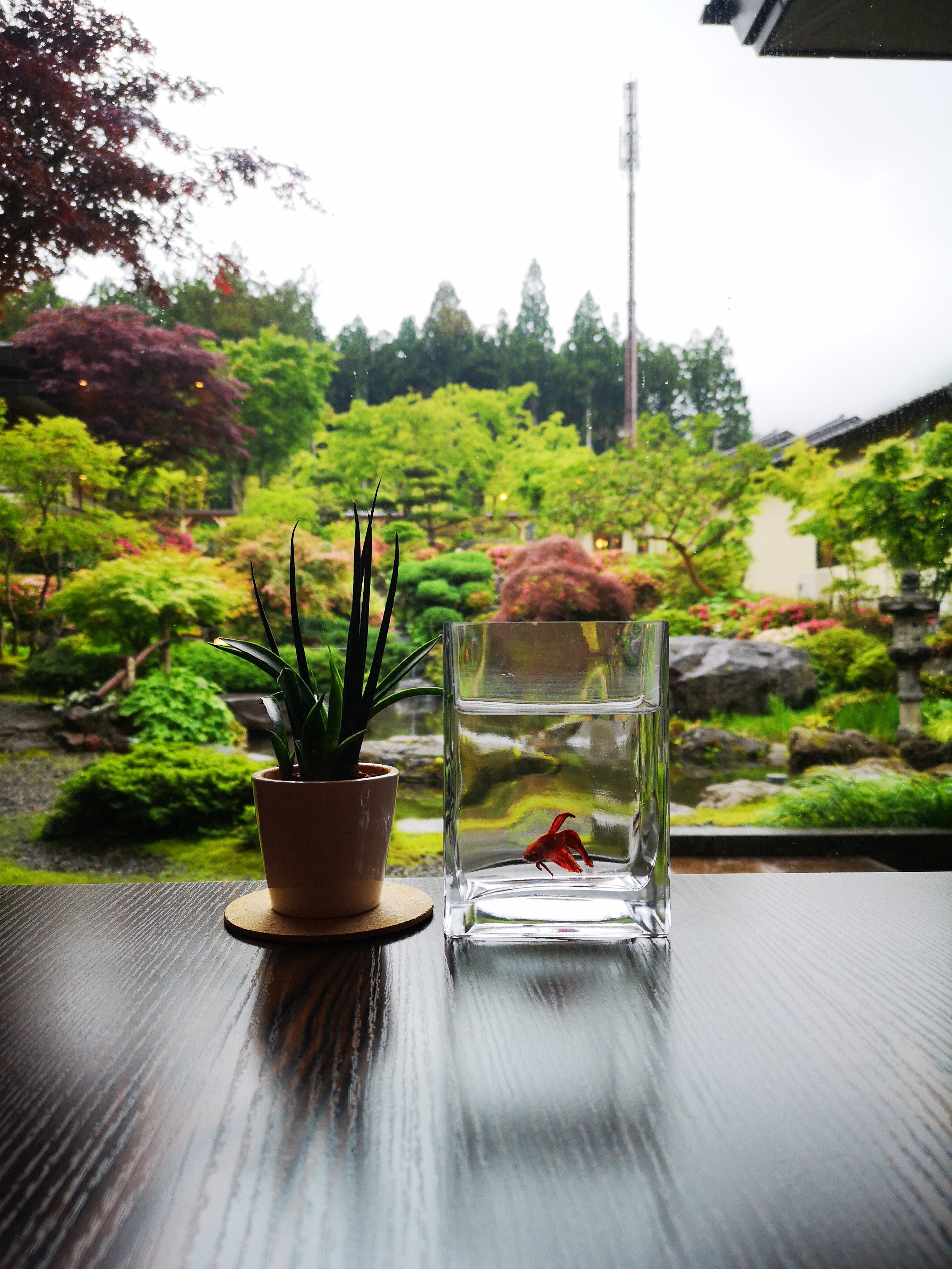 奥之院德川酒店-浴室