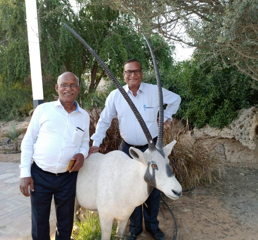 Amersons Travel and Tours L.L.C - Dubai Desert Safaris & City Tours-迪拜必去景点