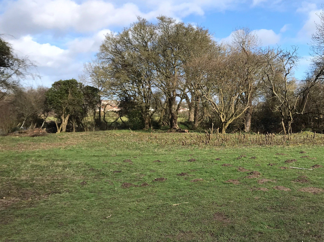 Croxley Common Moor景点图片