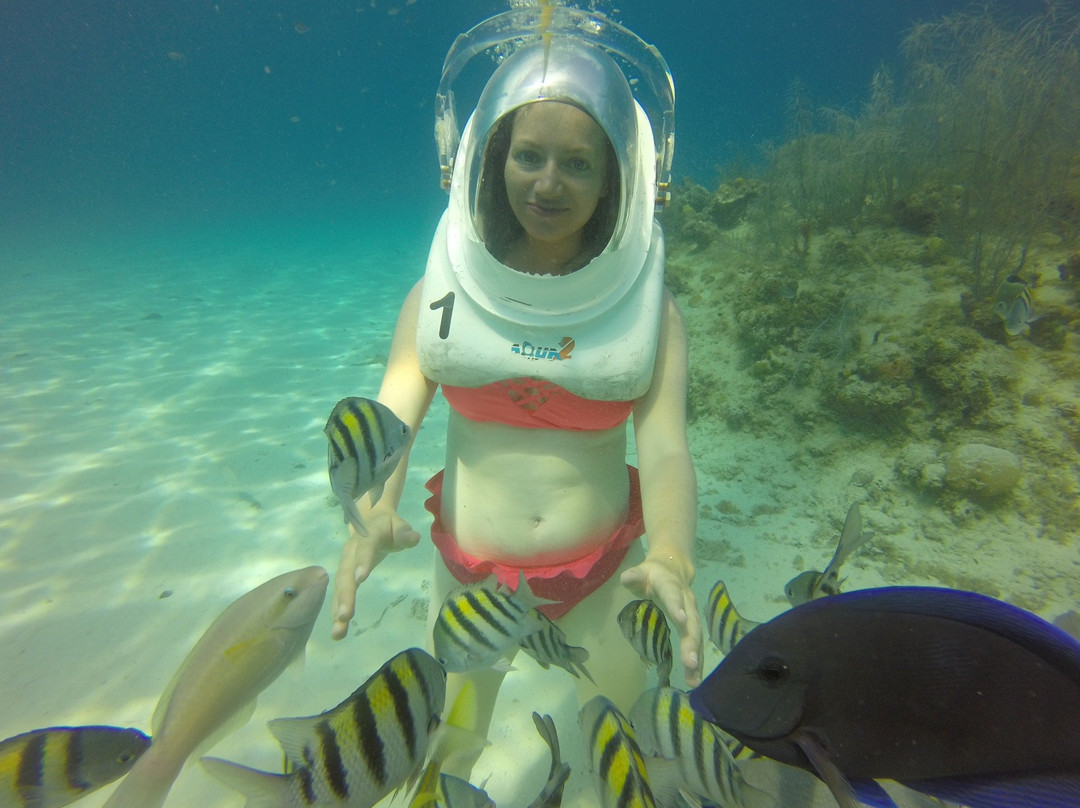 Aquanautas-圣安德烈斯必去景点