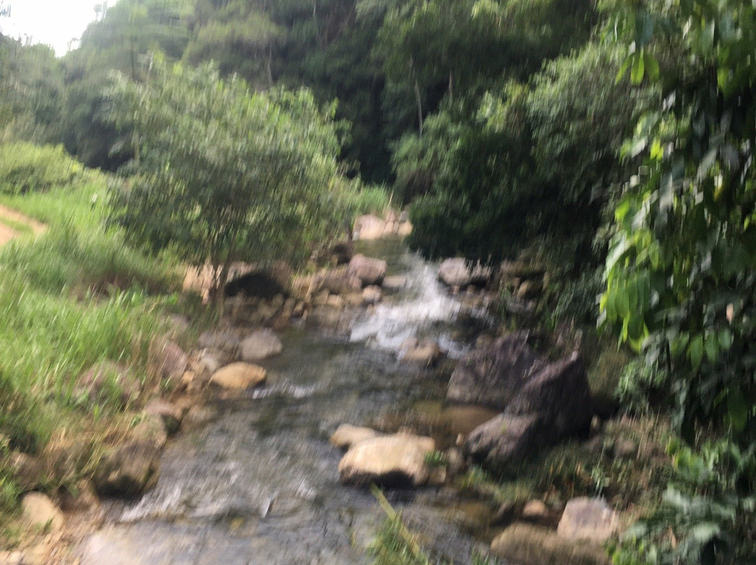 Cachoeira das Andorinhas-Silva Jardim必去景点