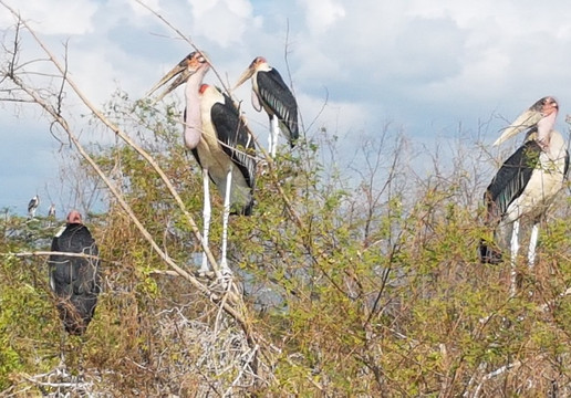 Memento Ethiopia Tours-亚的斯亚贝巴必去景点