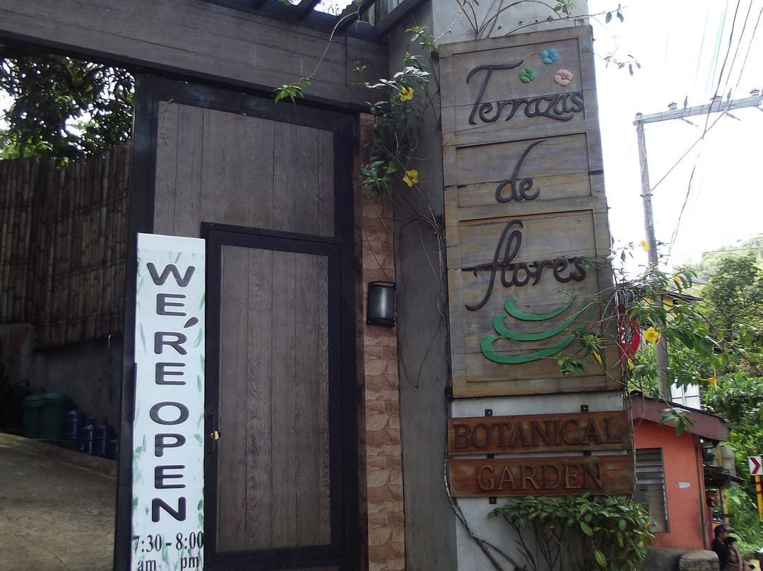 Terrazas de Flores景点图片