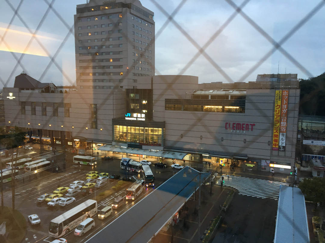 德岛灿路都大饭店主图