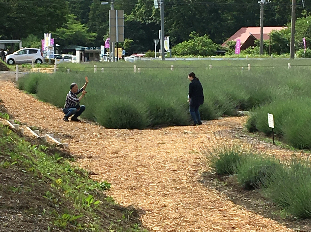 Ranzanmachi Sennen no Sono Lavender Field-岚山町必去景点