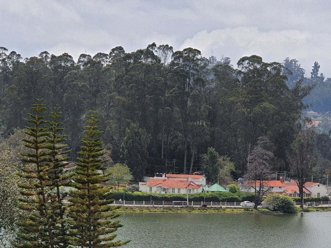 卡尔顿酒店主图