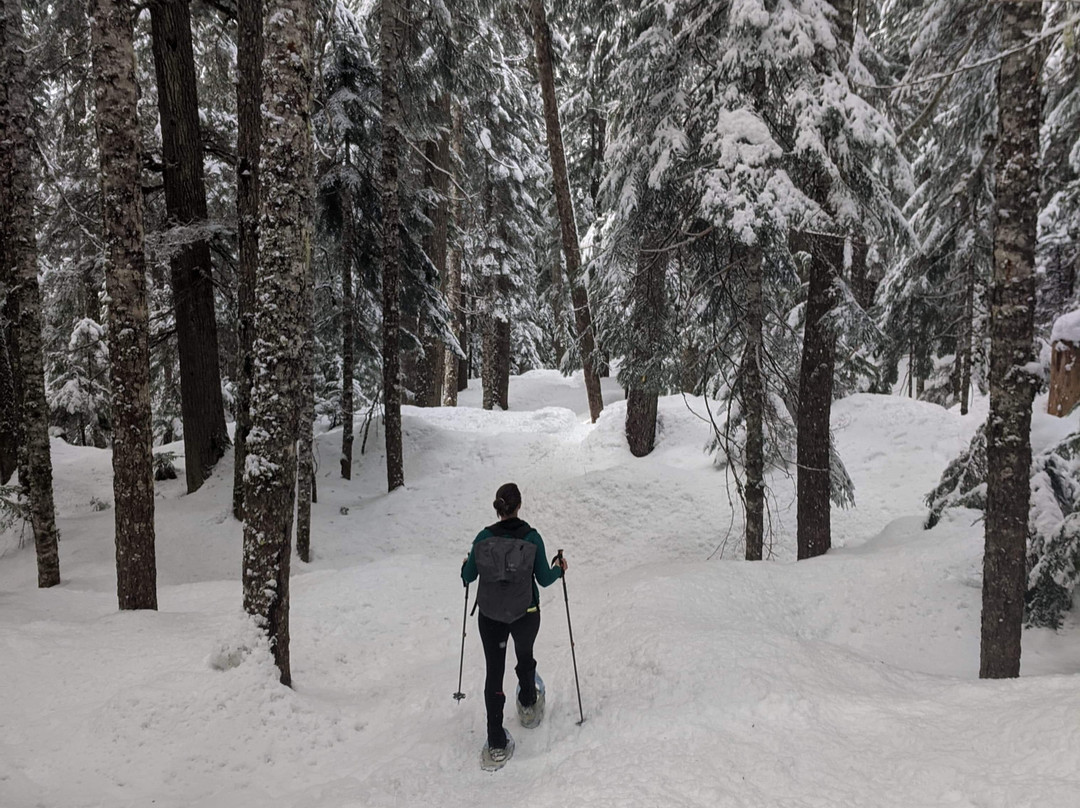 The Callaghan's Base At Alexander Falls-惠斯勒必去景点