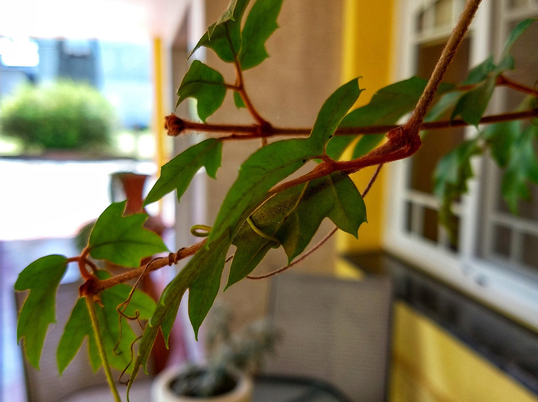 Hotel La Colina主图