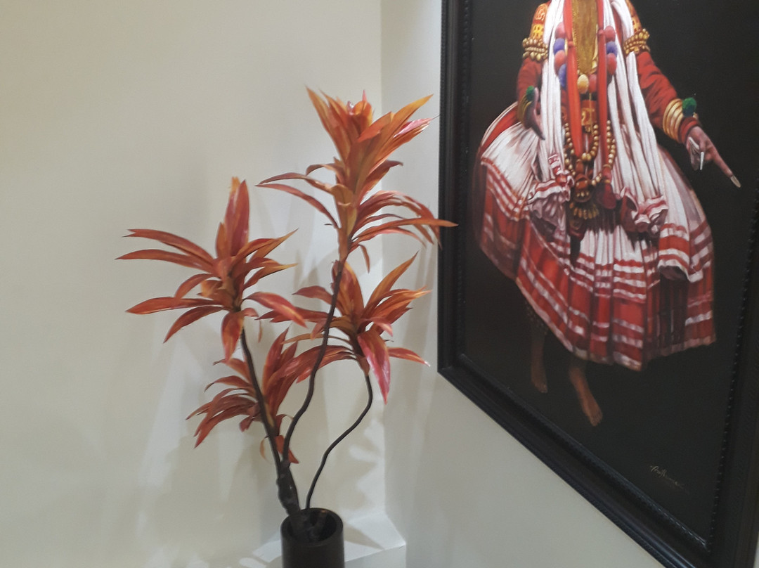 Vibrance Spa & Wellness Centre景点图片