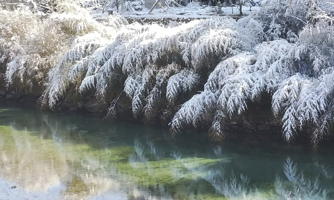 Musasabi no Sato Michi-no-Eki-伊野町必去景点