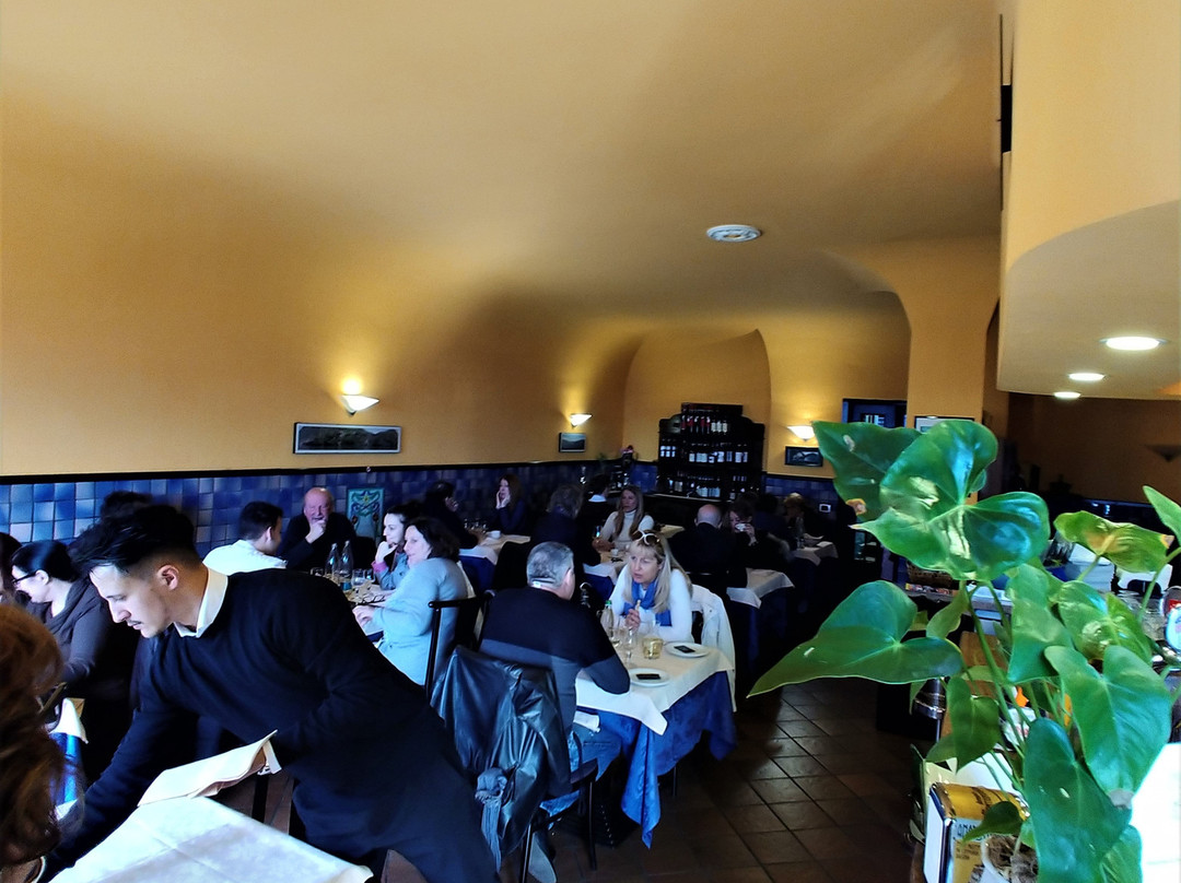 Briisa De Ness主图