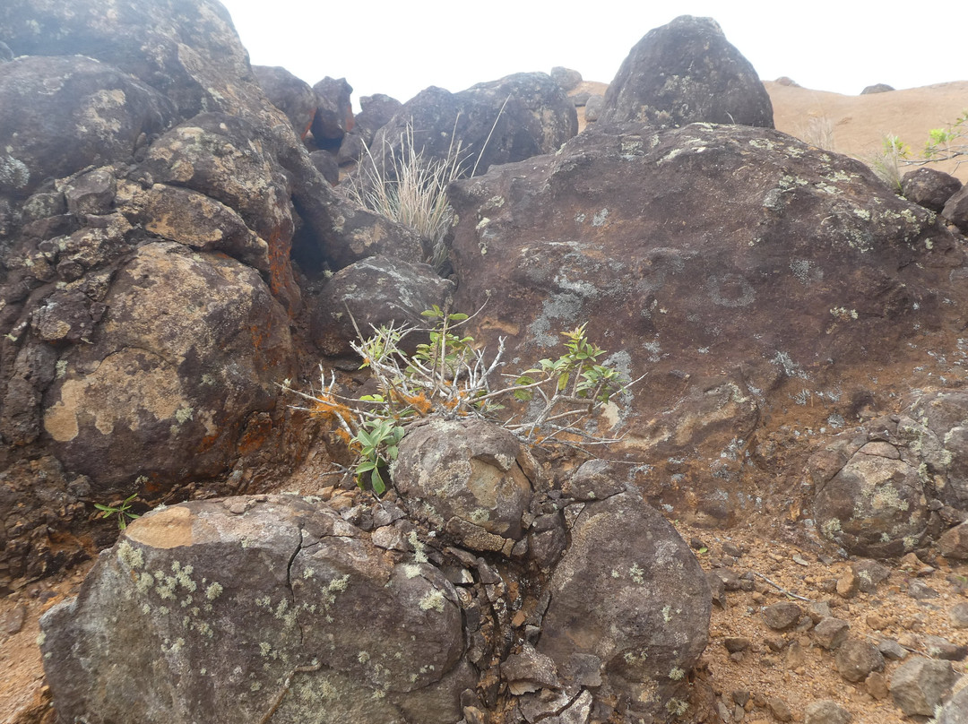 众神花园-拉奈市必去景点