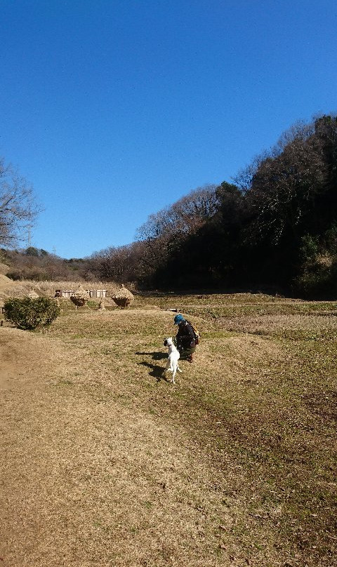 Oyamada Park-町田市必去景点
