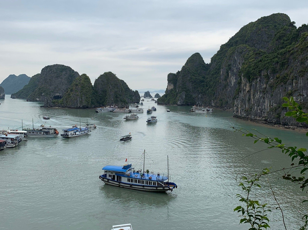 Halong Bay Aclass Cruises-下龙湾必去景点