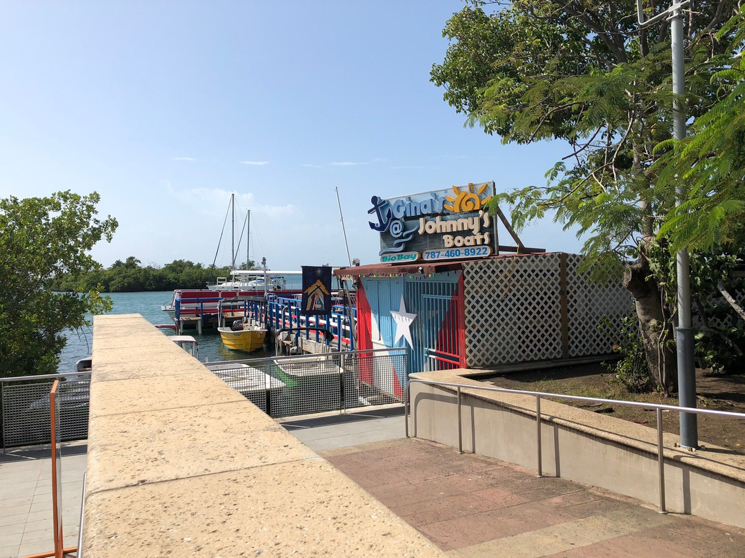 La Parguera Bioluminescent Bay-La Parguera必去景点