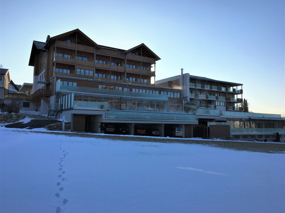 Dorfhotel Fasching主图