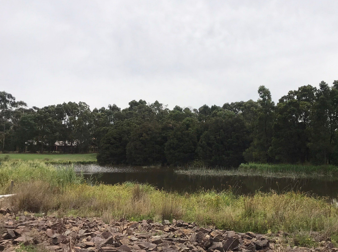 Hull Road Wetlands-Lilydale必去景点