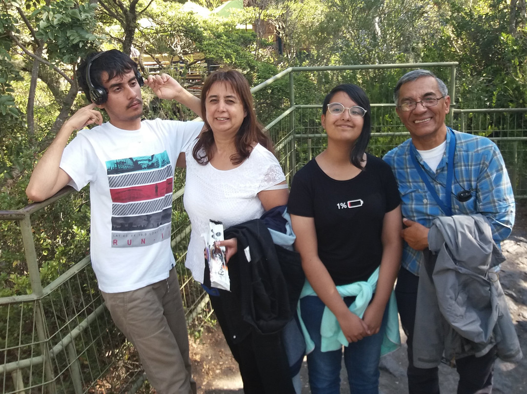 Typic Chile-巴拉斯港必去景点