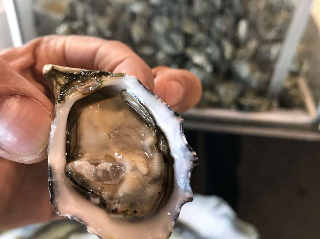 安法区购物中心-卡萨布兰卡必去景点