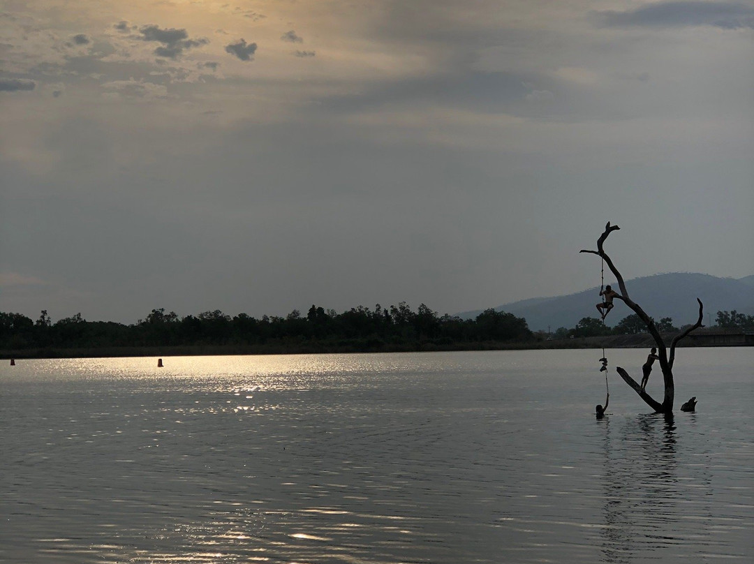 Swim Beach Park景点图片