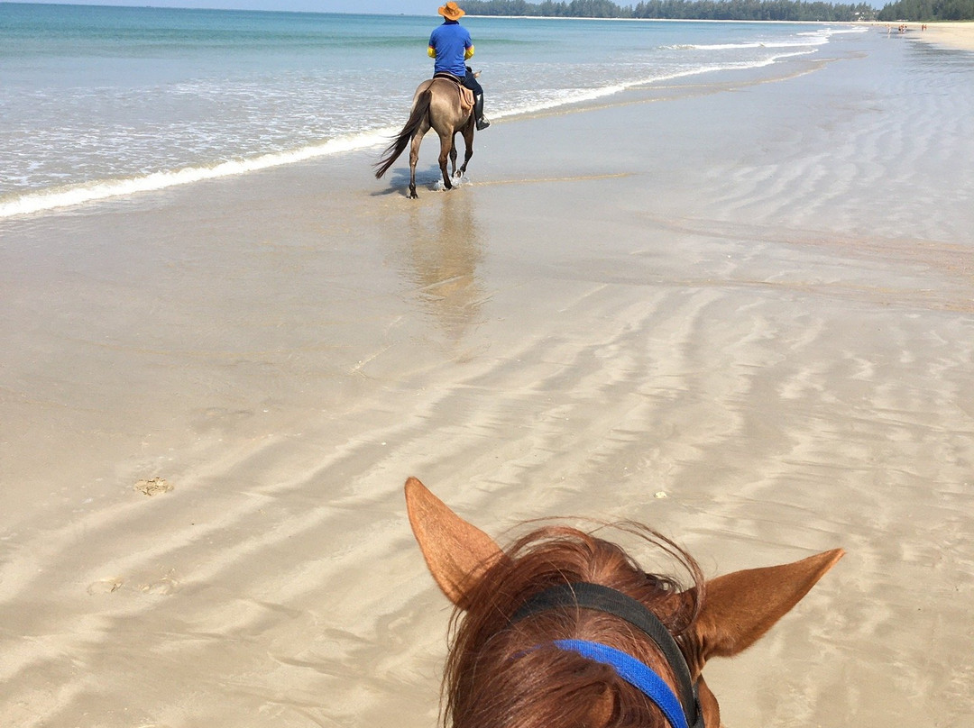 Khaolak Horse Club-拉克山必去景点