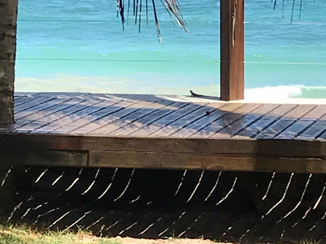 Carneiros Paradiso主图