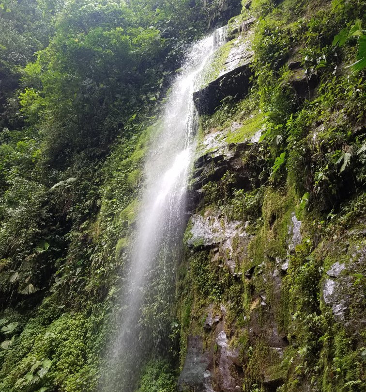 El Canto Waterfall景点图片