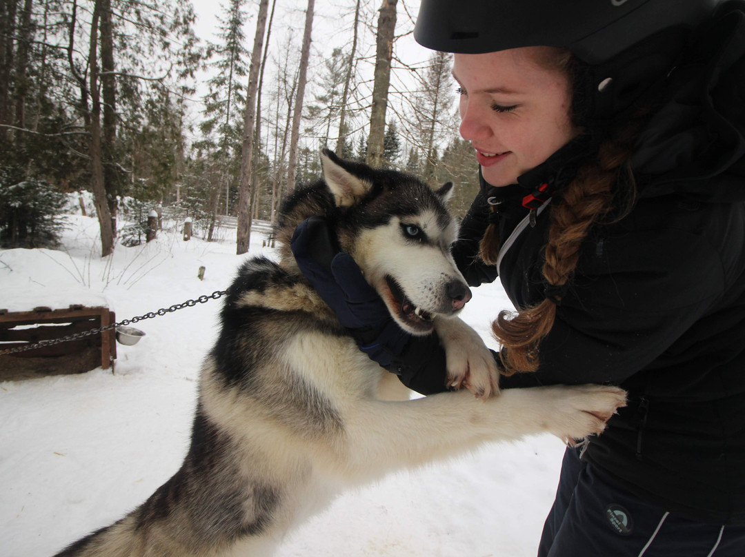 Expedition Wolf-Riviere-Rouge必去景点
