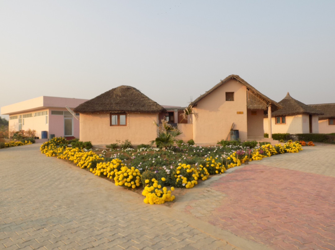 Patanjali Yogpeeth-哈里瓦必去景点