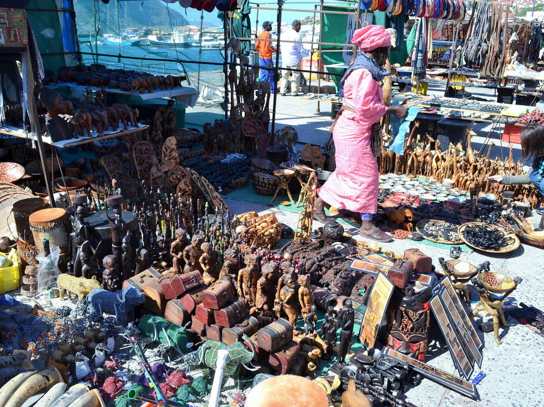 Seal Island-西开普必去景点