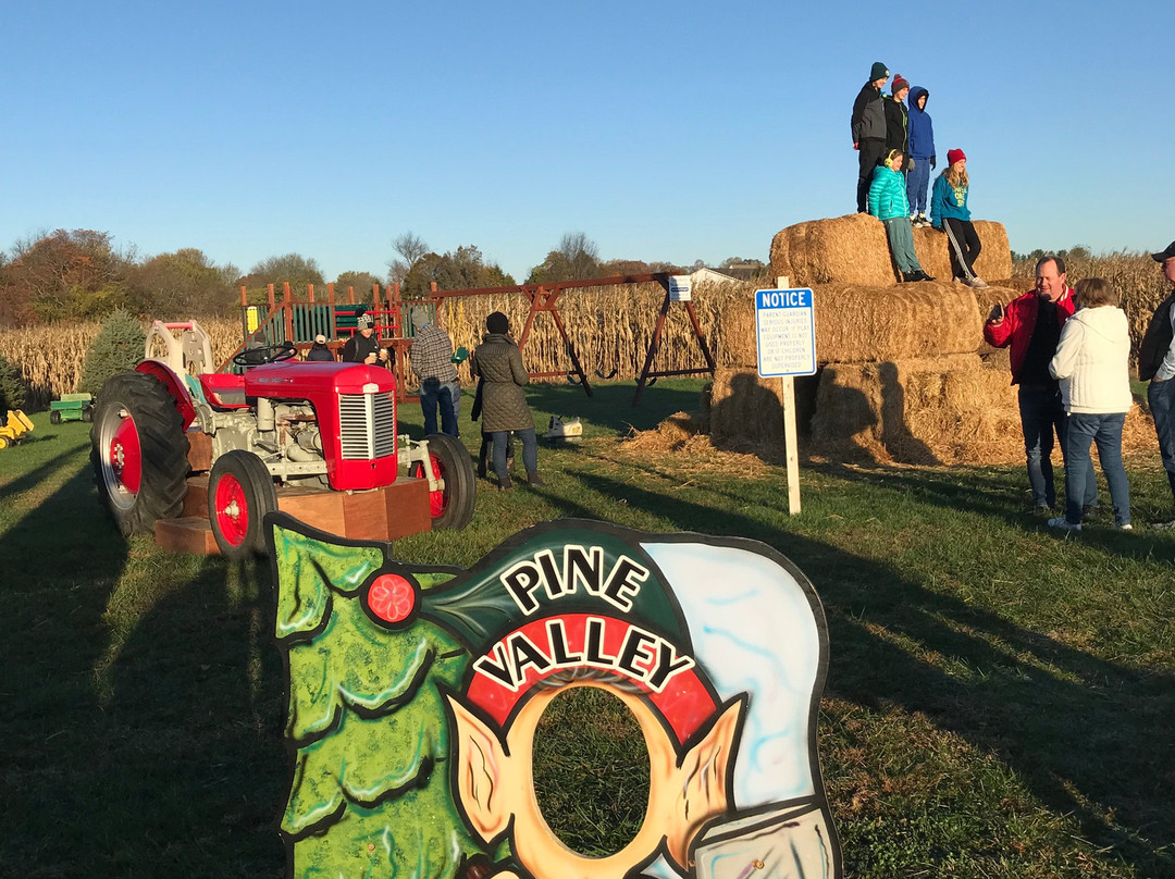 Pine Valley Christmas Trees-埃尔克顿必去景点