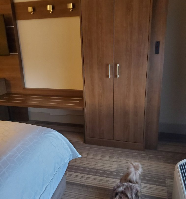 Holiday Inn Express & Suites Brentwood By IHG主图