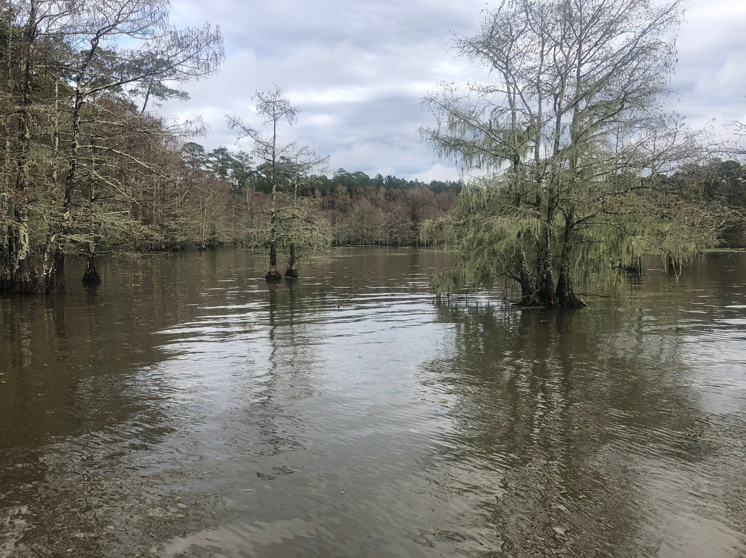 Sandy Creek景点图片