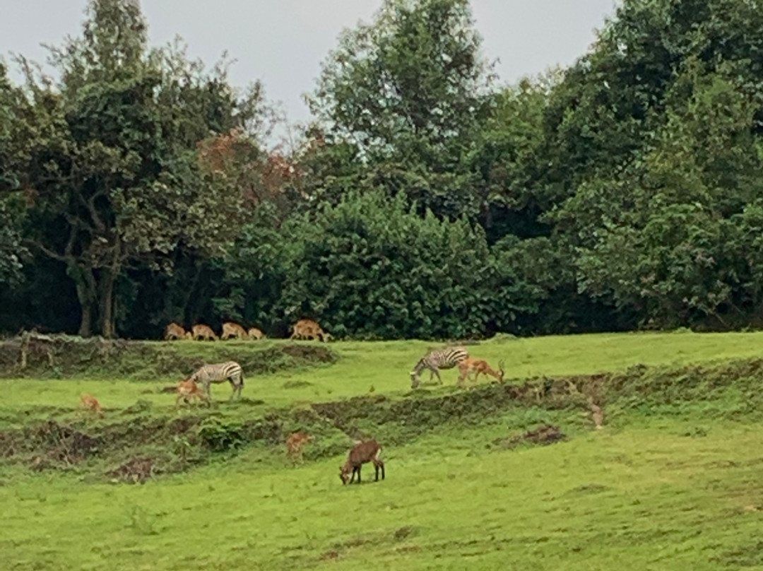 Kyobe Safaris-Masaka必去景点