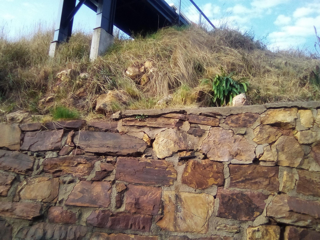 KML Shuttle Services-桑顿必去景点